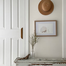 Load image into Gallery viewer, Eddie the Echidna