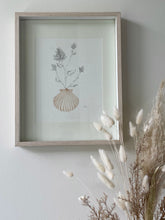 Load image into Gallery viewer, Mulla Mulla Scallop