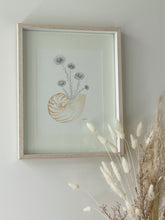 Load image into Gallery viewer, Paper Daisy Nautilus