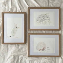 Load image into Gallery viewer, Betty the Bilby