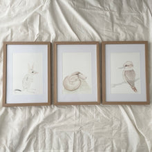 Load image into Gallery viewer, Pippy the Platypus