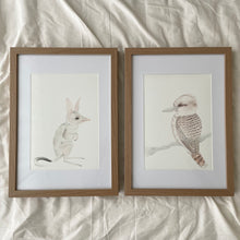 Load image into Gallery viewer, Fairy the Kookaburra