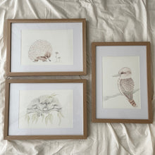 Load image into Gallery viewer, Fairy the Kookaburra