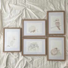 Load image into Gallery viewer, Pippy the Platypus