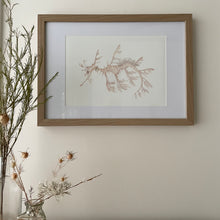 Load image into Gallery viewer, Lenni the Leafy Seadragon