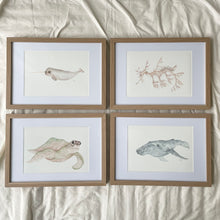 Load image into Gallery viewer, Mirakye the Green Sea Turtle