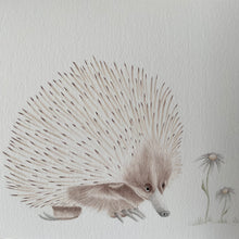 Load image into Gallery viewer, Eddie the Echidna