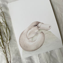 Load image into Gallery viewer, Pippy the Platypus