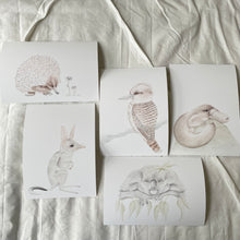 Load image into Gallery viewer, Betty the Bilby