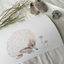Load image into Gallery viewer, Eddie the Echidna