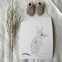 Load image into Gallery viewer, Betty the Bilby