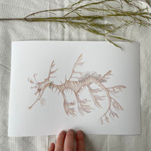 Load image into Gallery viewer, Lenni the Leafy Seadragon