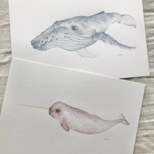 Load image into Gallery viewer, Nip the Narwhal