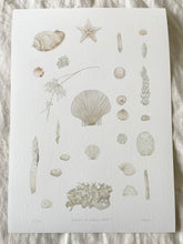 Load image into Gallery viewer, Ghosts of Mother Ocean