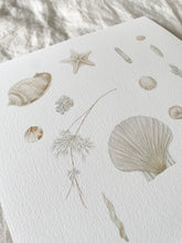 Load image into Gallery viewer, Ghosts of Mother Ocean