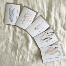 Load image into Gallery viewer, ECO Ocean Christmas Card Pack
