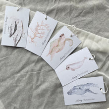 Load image into Gallery viewer, ECO Ocean Christmas Gift Tag Pack