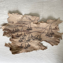 Load image into Gallery viewer, Cascading Flowering Gum