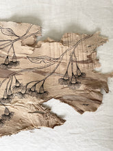 Load image into Gallery viewer, Cascading Flowering Gum