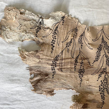 Load image into Gallery viewer, Cascading Wattle