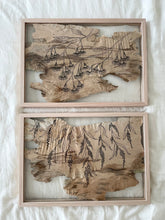 Load image into Gallery viewer, Cascading Flowering Gum