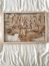 Load image into Gallery viewer, Cascading Wattle