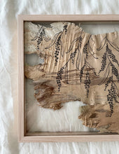 Load image into Gallery viewer, Cascading Wattle