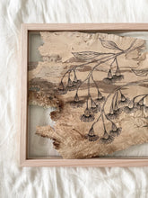 Load image into Gallery viewer, Cascading Flowering Gum