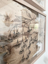 Load image into Gallery viewer, Cascading Flowering Gum