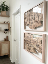 Load image into Gallery viewer, Cascading Wattle