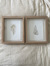 Load image into Gallery viewer, Teagan H - Venus Comb + Wentlewrap Shells
