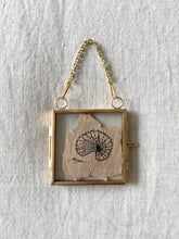 Load image into Gallery viewer, Paper Nautilus | Paperbark
