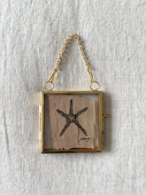 Load image into Gallery viewer, Sea Star | Paperbark
