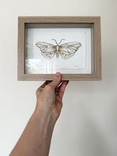 Load image into Gallery viewer, Moth
