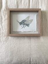 Load image into Gallery viewer, Cuckoo Bee
