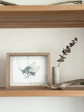 Load image into Gallery viewer, Cuckoo Bee
