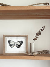 Load image into Gallery viewer, Caper White Butterfly
