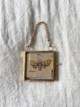 Load image into Gallery viewer, Cicada | Paperbark
