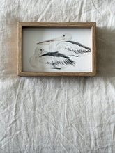 Load image into Gallery viewer, Australian Pelicans
