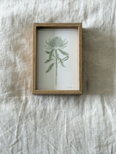 Load image into Gallery viewer, Wirrimbirra White
