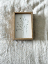 Load image into Gallery viewer, Flannel Flower
