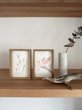 Load image into Gallery viewer, Kangaroo Paw - Bush Diamond
