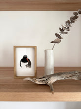Load image into Gallery viewer, Pied Oystercatcher

