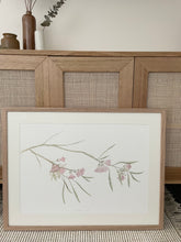 Load image into Gallery viewer, Eucalyptus Synandra | Framed Limited Edition
