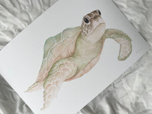 Load image into Gallery viewer, Mirakye the Green Sea Turtle
