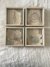 Load image into Gallery viewer, Tibias Spindle Shell | Paperbark
