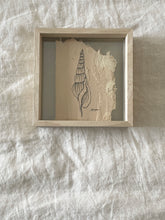 Load image into Gallery viewer, Tibias Spindle Shell | Paperbark
