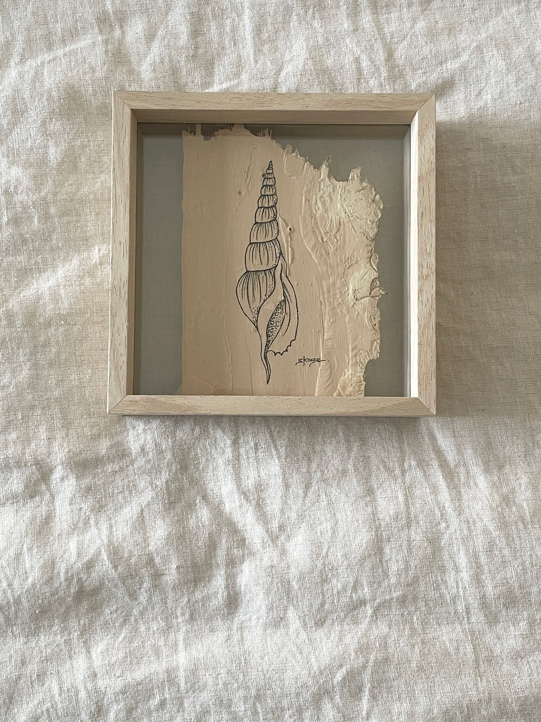 Tibias Spindle Shell | Paperbark