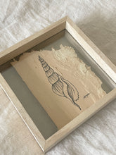 Load image into Gallery viewer, Tibias Spindle Shell | Paperbark
