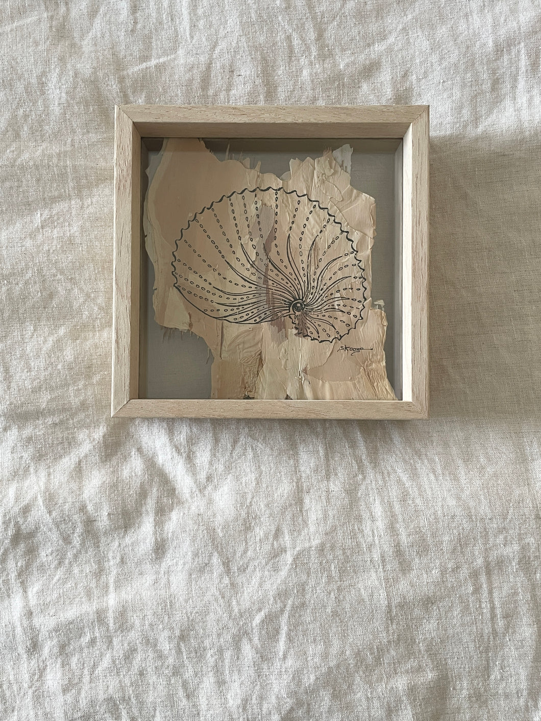 Paper Nautilus | Paperbark